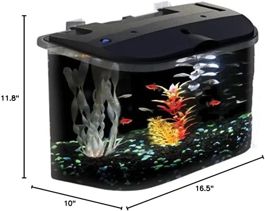 5-Gallon Aquarium Kit