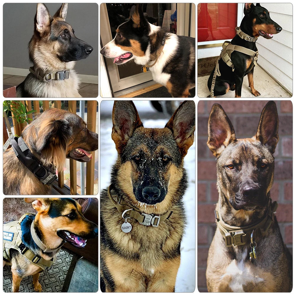Adjustable Tactical Dog Training