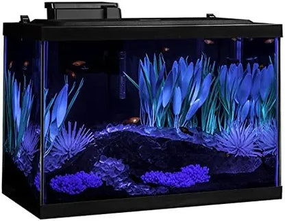 20 Gallon Vibrant Aquarium Setup