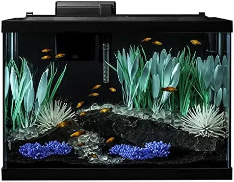 20 Gallon Vibrant Aquarium Setup