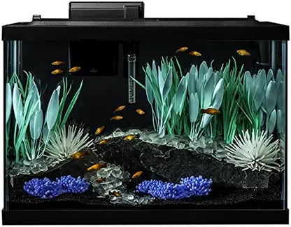 20 Gallon Vibrant Aquarium Setup