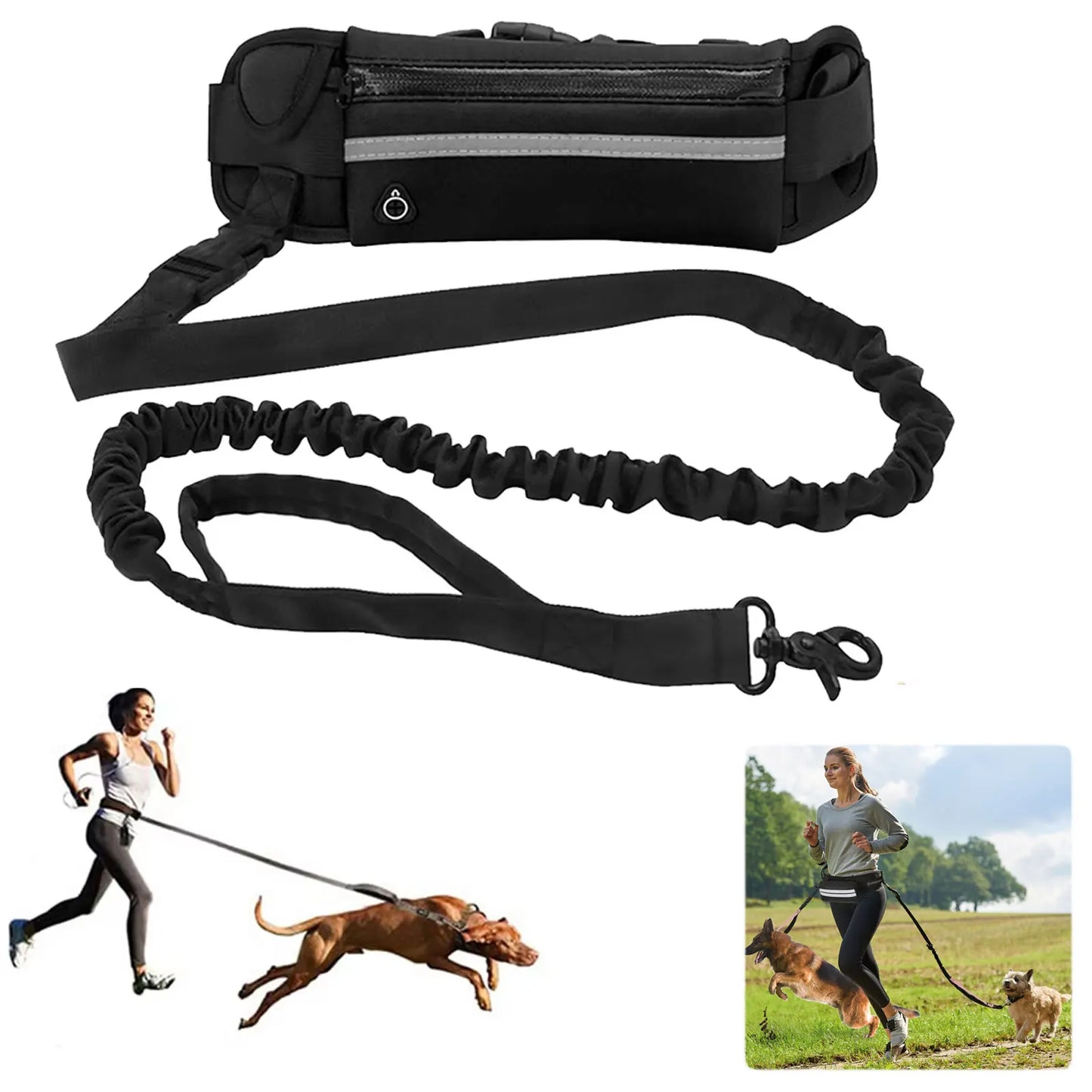 Hands Free Dog Leash Reflective
