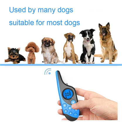 Dog Training Collar With Remote