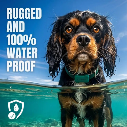 Dog Activity Monitor/Not a GPS Tracker