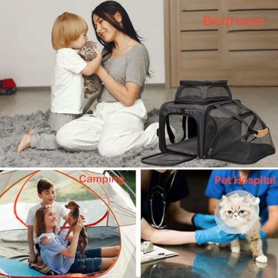 Airline-Approved Soft-Sided Cat & Dog Carrier