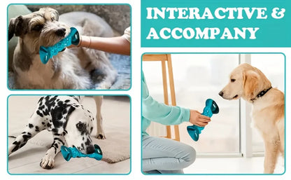 Nylon, Toys To Keep Dogs Busy