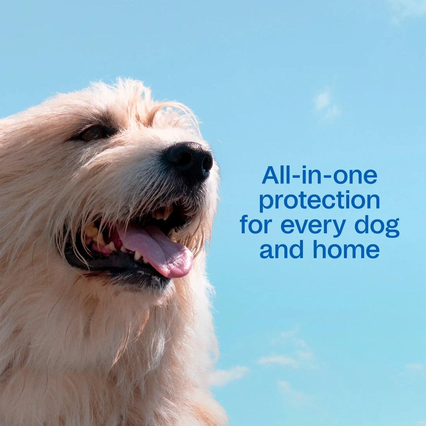 Flea & Tick Dog & Home Spray