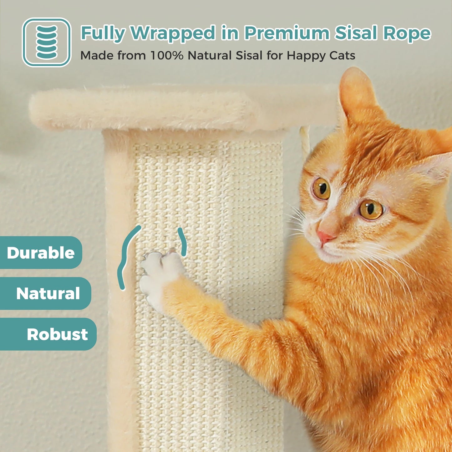 Large Cat Scratching Post for Indoor Cats