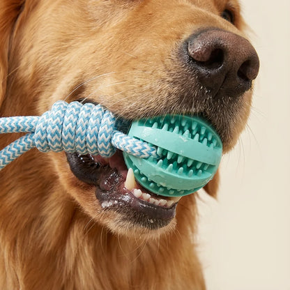 Cotton Rope & Rubber Dog Chew Ball