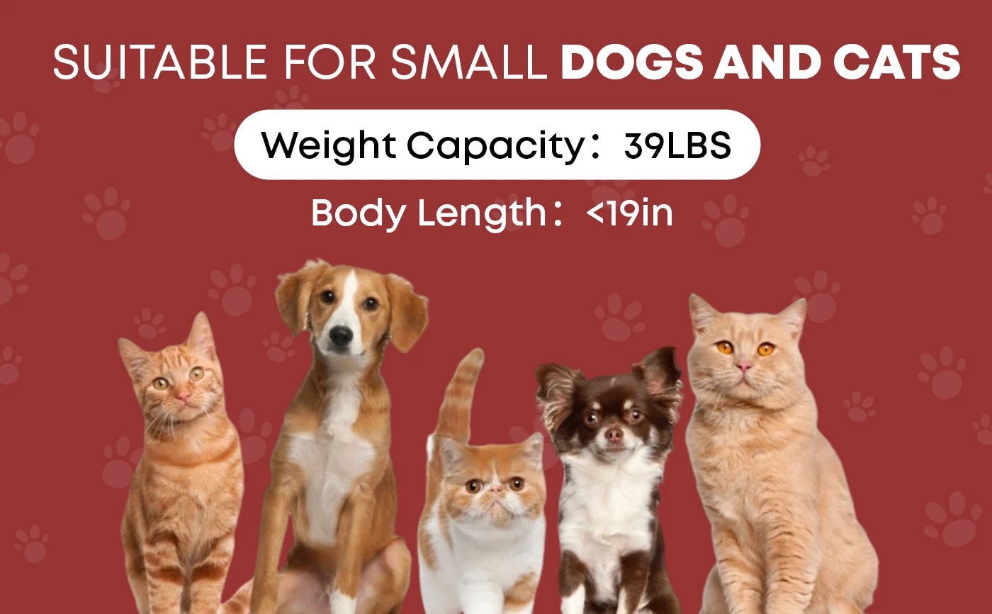 Pet Stroller For Small Medium Cats & Dogs