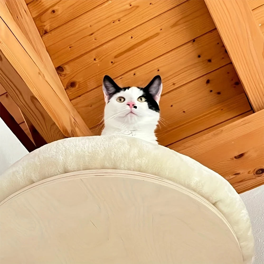 Cat Wall Mounted  Climbing Ladder, Hammock
