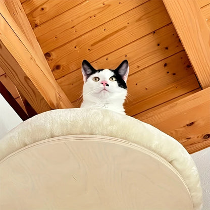 Cat Wall Mounted  Climbing Ladder, Hammock