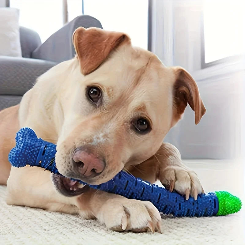 Pet Teeth Grinding Toy, Dental chew