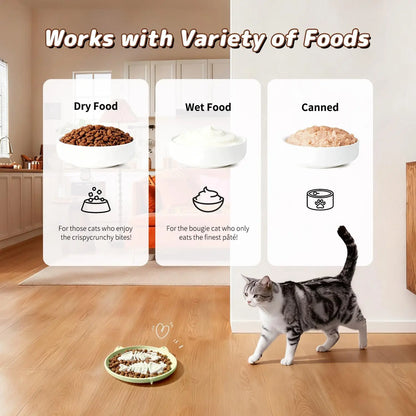 Slow Feeder Cat Bowl, Easy Clean