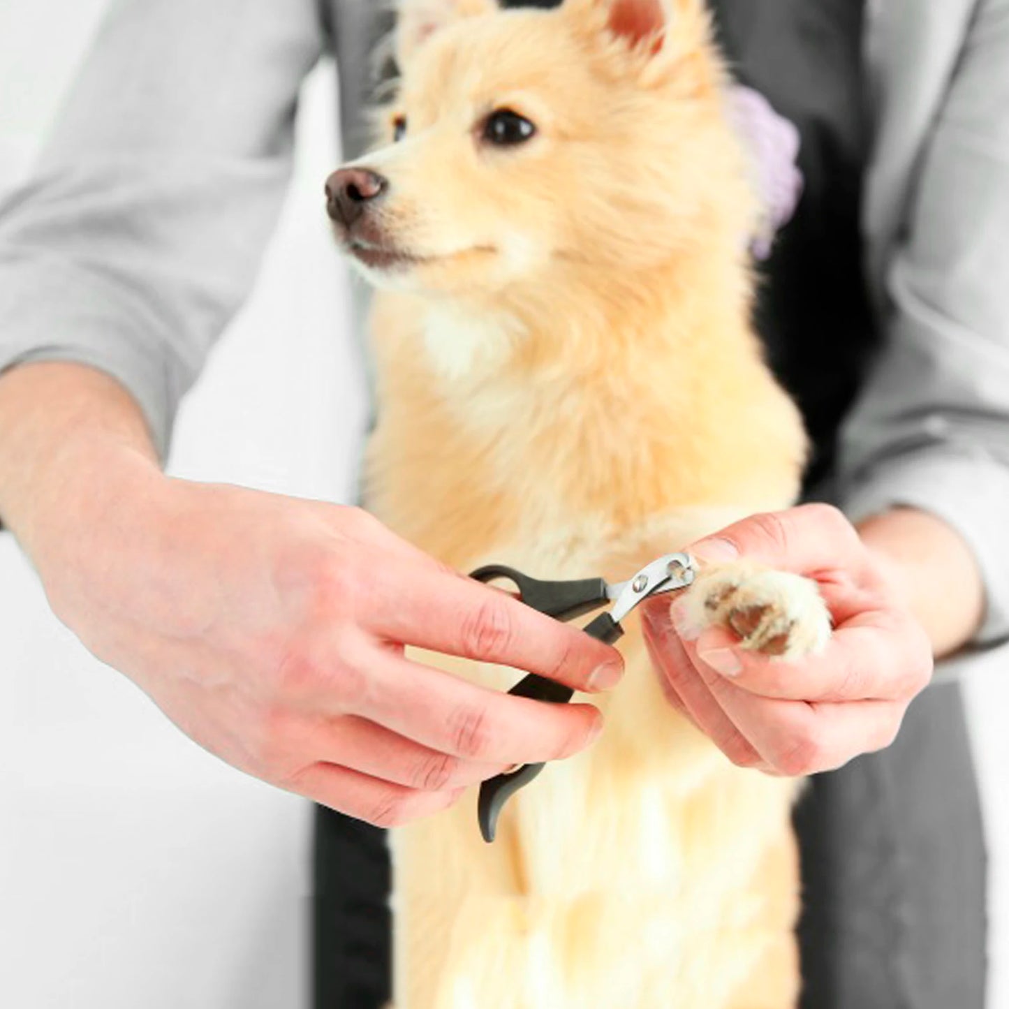 Professional Pet Nail Clippers, Dogs Cats Small Animals