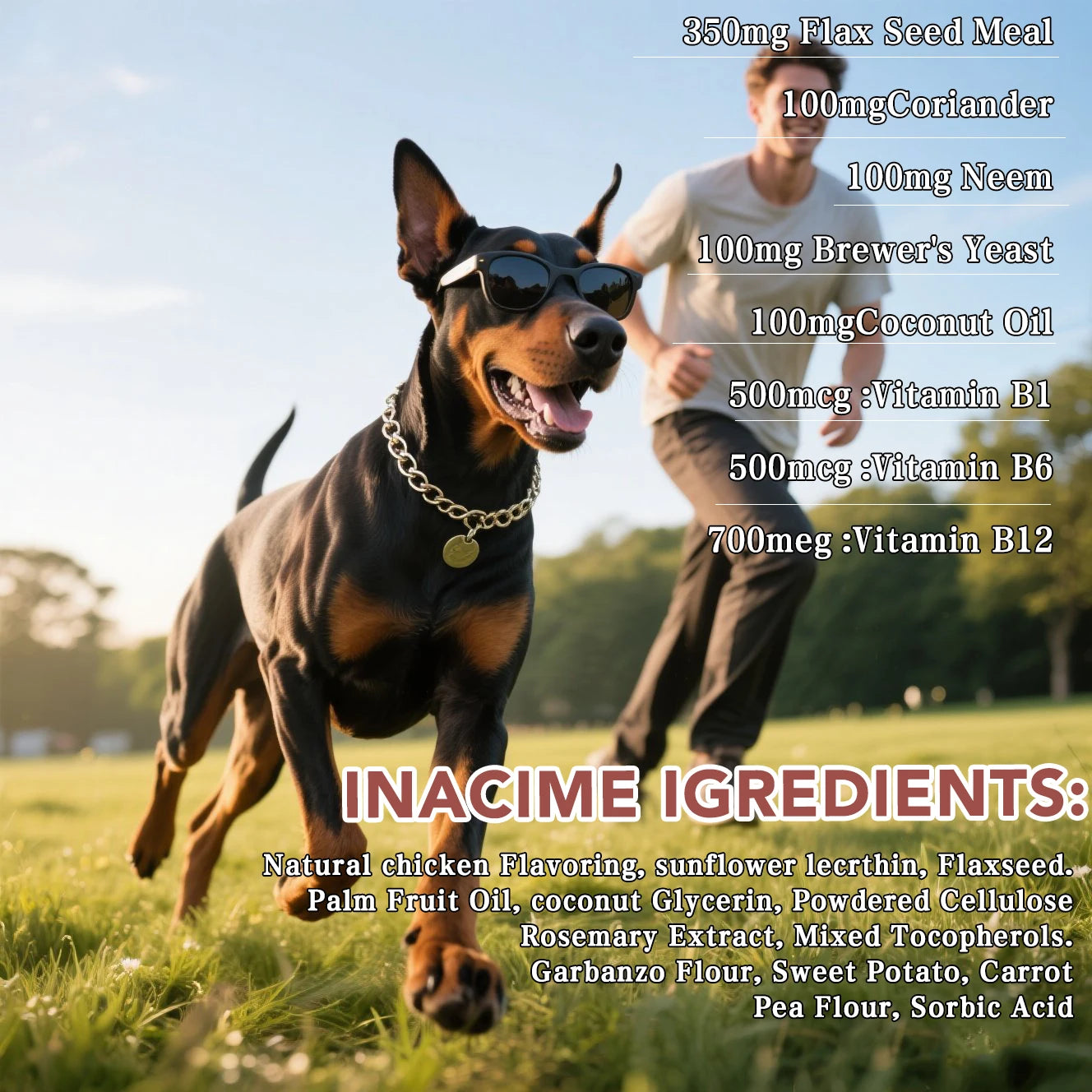 Dogs Chewables, Flea and Tick Prevention for Dogs