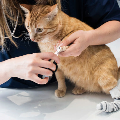 Professional Pet Nail Clippers, Dogs Cats Small Animals