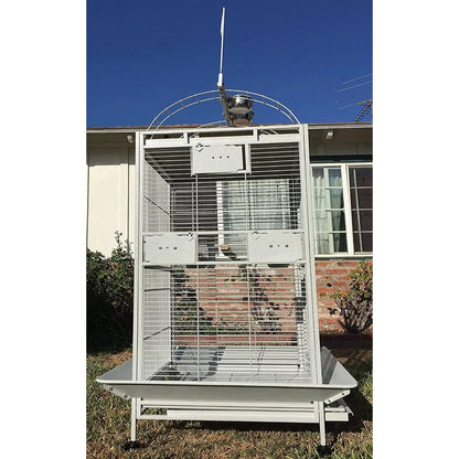 Large Elegant Wrought Iron Parrot, bird Cage