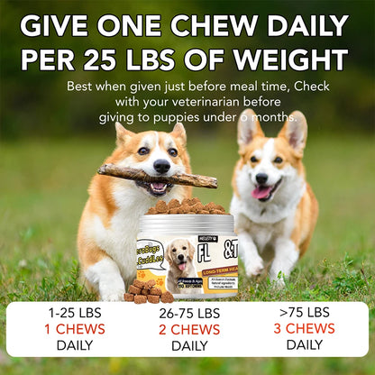 Dogs Chewables, Flea and Tick Prevention for Dogs