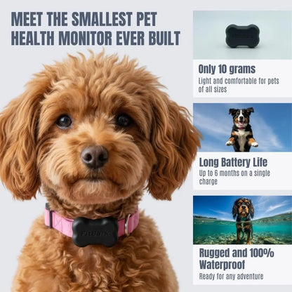 Dog Activity Monitor/Not a GPS Tracker