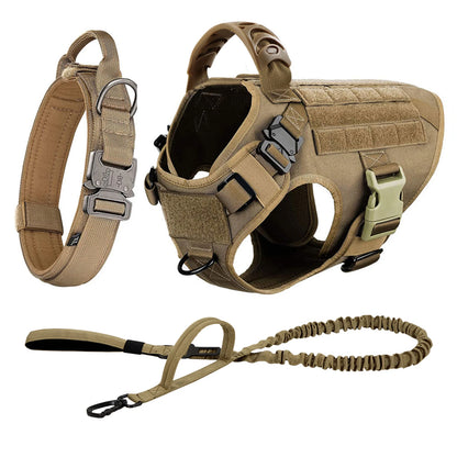 Dog Harness Collar And Leash Set Training Walking