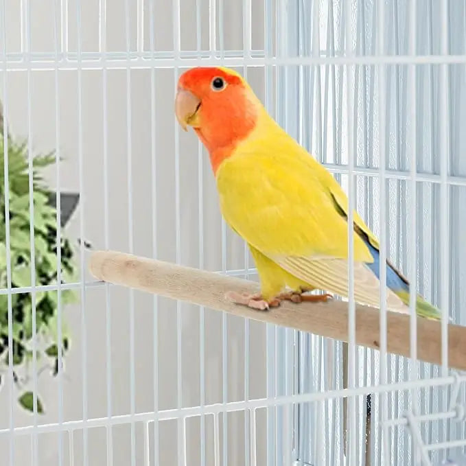 Parrot Play stand  Cage Playground for Birds