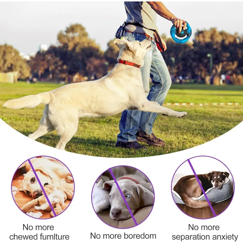 Tough Dog Toys for Aggressive Chewers,