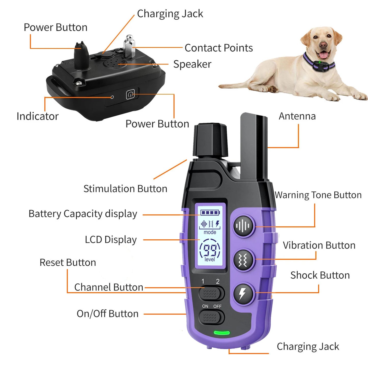 3300Ft Electric Dog Training Collar W/Remote Control