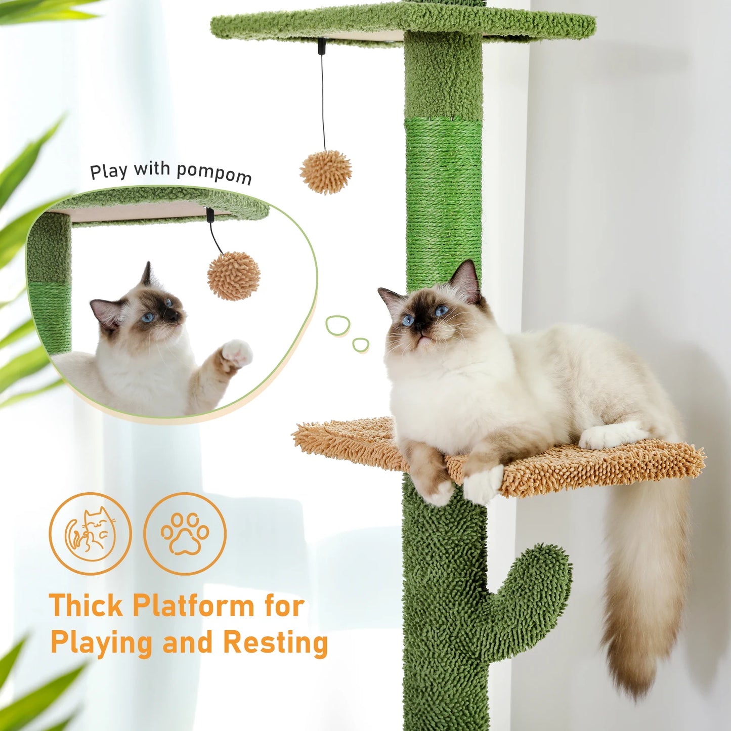 Cat Tree Floor to Ceiling Cat Tower Cactus
