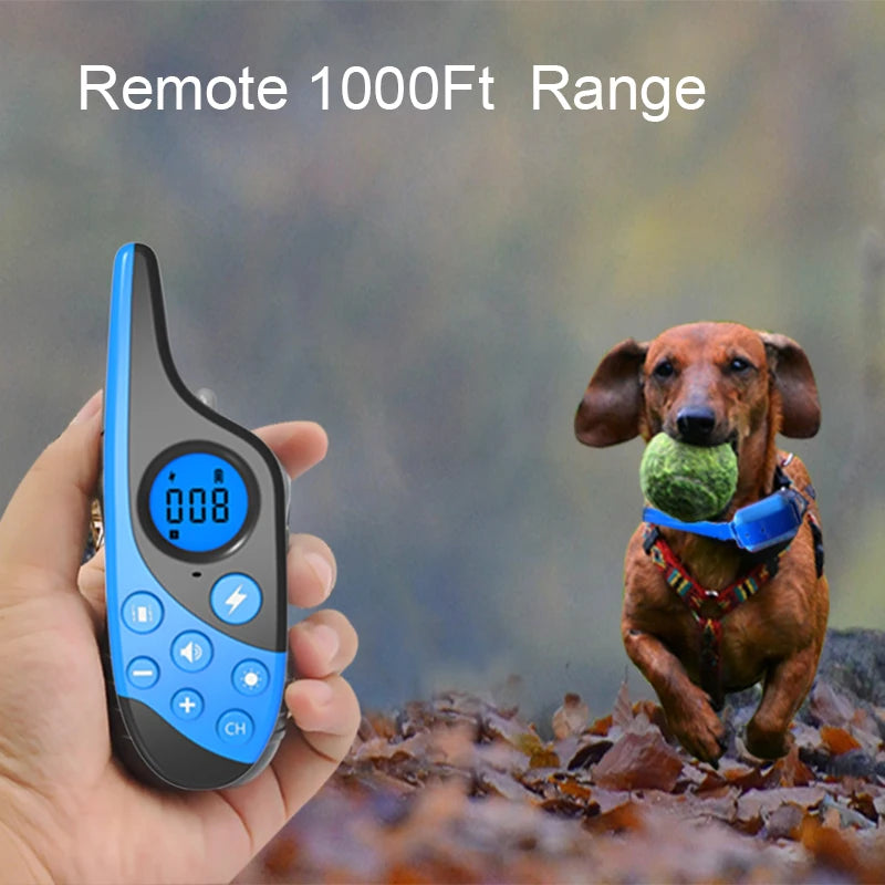 Dog Training Collar With Remote