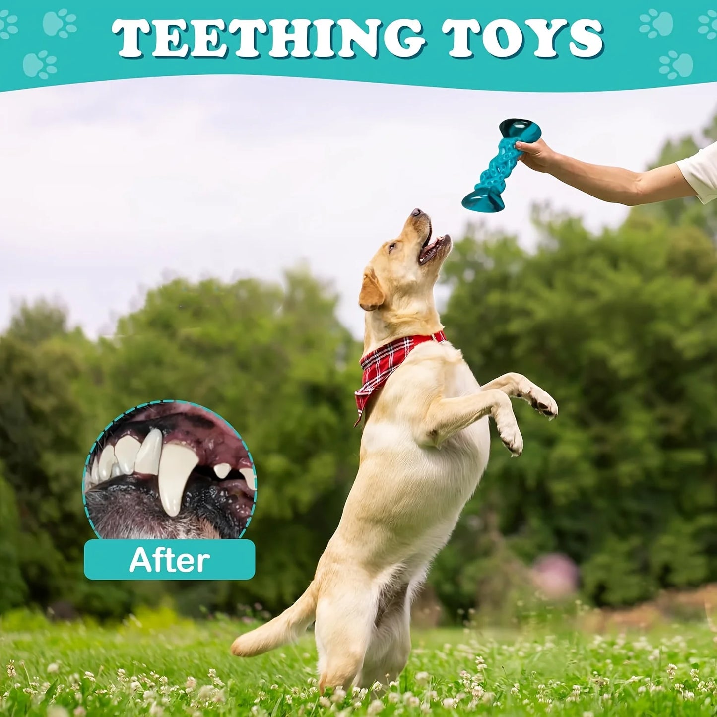 Nylon, Toys To Keep Dogs Busy