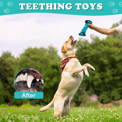 Nylon, Toys To Keep Dogs Busy