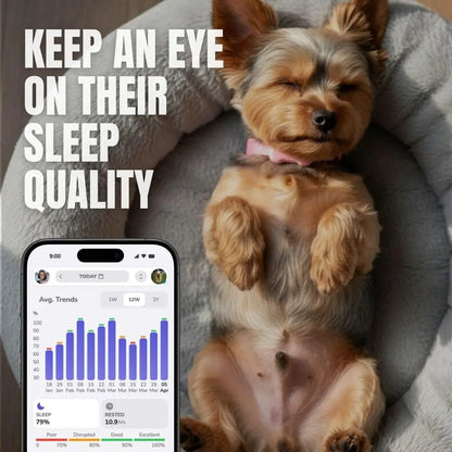 Dog Activity Monitor/Not a GPS Tracker