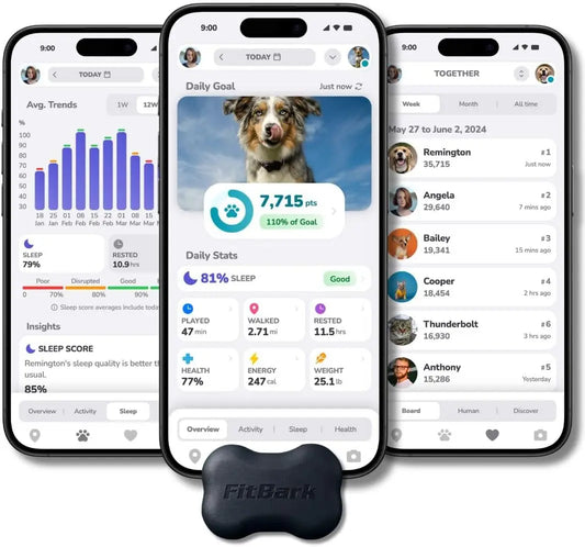 Dog Activity Monitor/Not a GPS Tracker