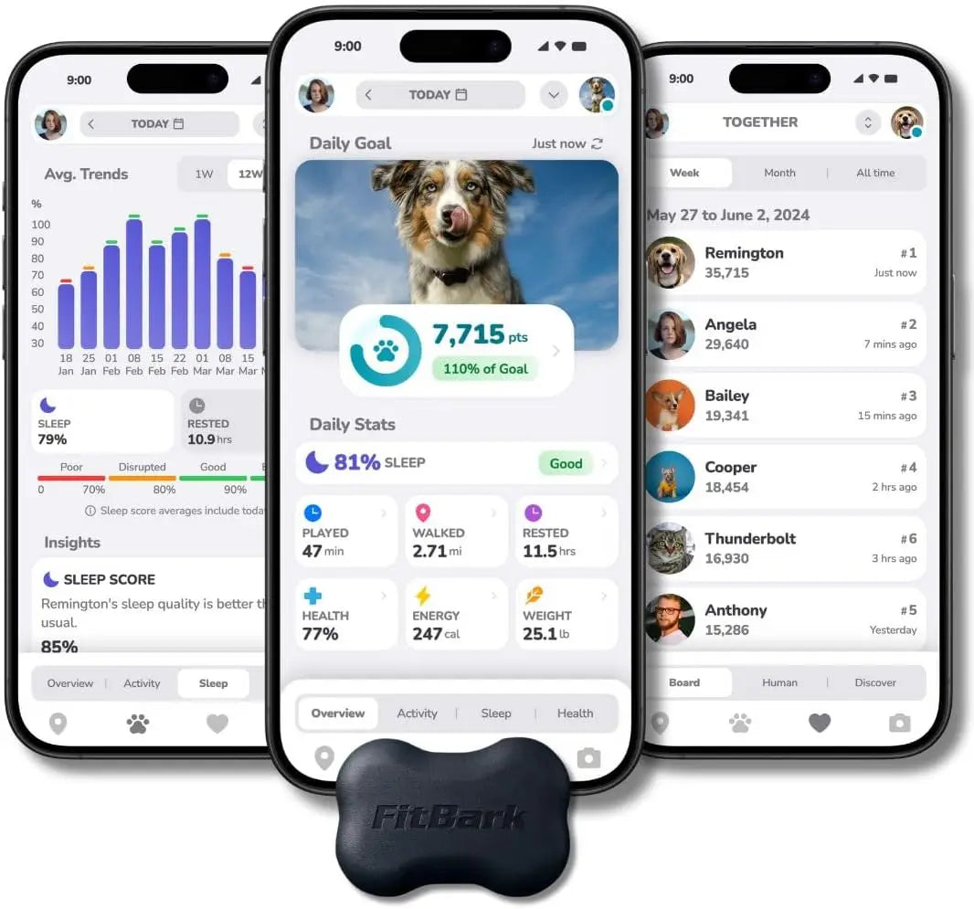 Dog Activity Monitor/Not a GPS Tracker