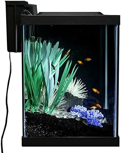 20 Gallon Vibrant Aquarium Setup