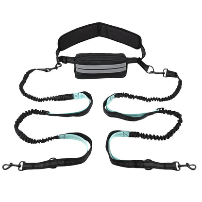 Hands Free Dog Leash Reflective