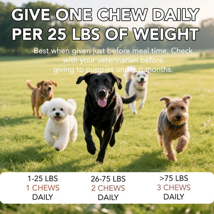 Probiotics for Dogs Digestive Health Soft Chews