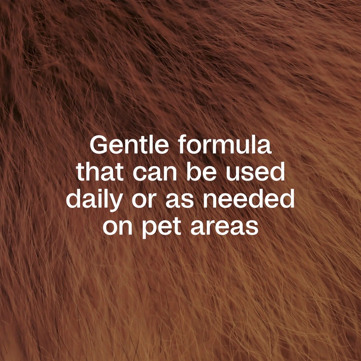 Flea & Tick Dog & Home Spray