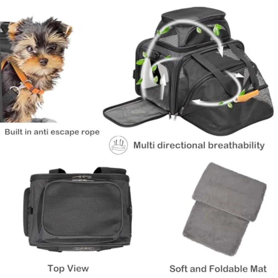 Airline-Approved Soft-Sided Cat & Dog Carrier