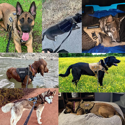 Dog Harness Collar And Leash Set Training Walking