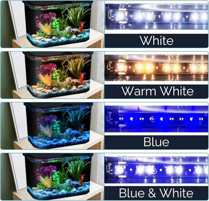 5-Gallon Aquarium Kit