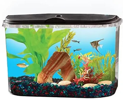 5-Gallon Aquarium Kit
