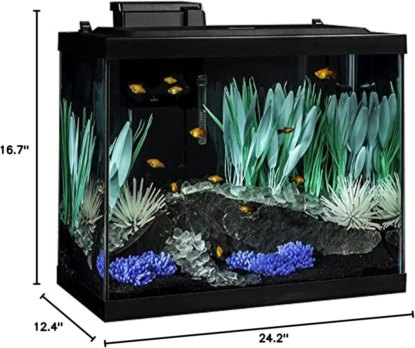 20 Gallon Vibrant Aquarium Setup