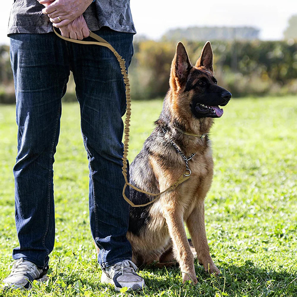 Adjustable Dog Leash Quick Release Elastic Rope