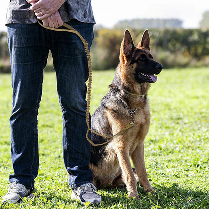 Adjustable Dog Leash Quick Release Elastic Rope