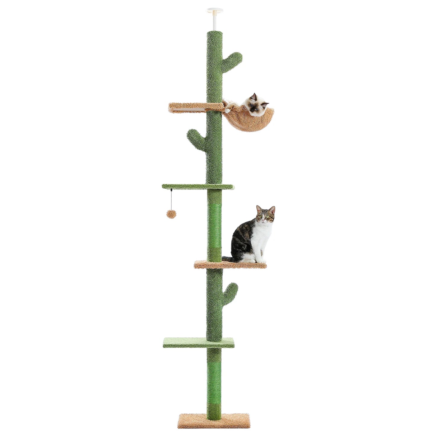 Cat Tree Floor to Ceiling Cat Tower Cactus