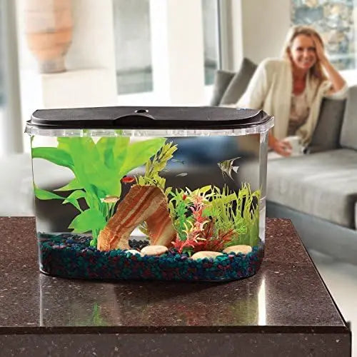 5-Gallon Aquarium Kit
