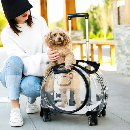 Pet Trolley Case ,Portable , Backpack for Cats