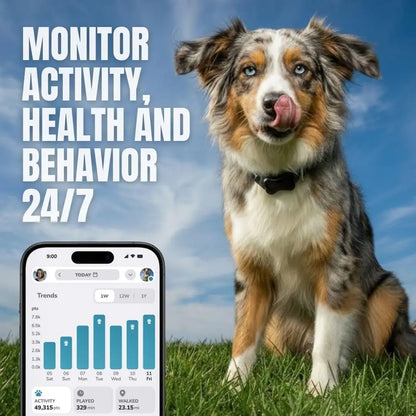 Dog Activity Monitor/Not a GPS Tracker